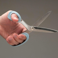 Are Left-Handed People More Creative?