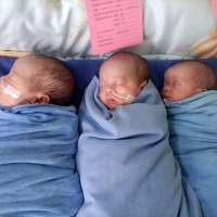 Its terrifying - Dubliners attempts to bring surrogate triplets home from Kenya