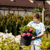 Is it hard for students to get a summer job?