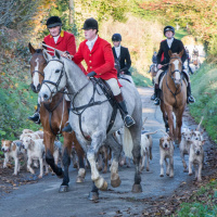 This is bloodlust - Calls to ban blood sports in Ireland