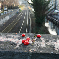 Reasons to be Happy: Cherry Tomato Bridge, Women’s Sport, Kneecap