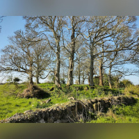 The do’s and don’ts of fairy forts