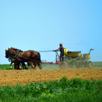 Religion in Ireland: Irish Amish Community