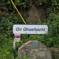 Gaeltacht owner says Irish language education is not functioning