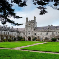 UCC Vegan Society want a meat and dairy free campus