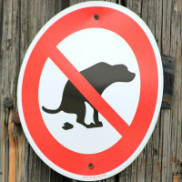 Does Ireland have a dog poo problem?