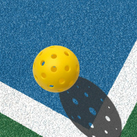 How I Live Well: Pickleball