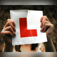 Should there be consequences for driving test no-shows?