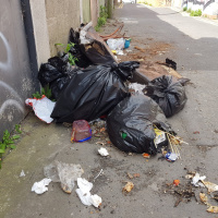 Theres no consequences - Calls for harsher penalties for littering
