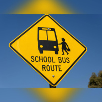 Is the school transport system fit for purpose?