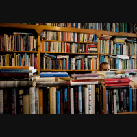 How male authors write female characters