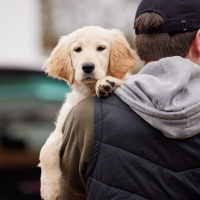 Woman had dog stolen and smuggled over to the UK