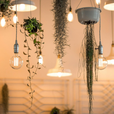 Highlights From Lunchtime Live