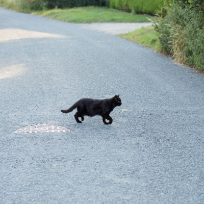 Highlights From Lunchtime Live