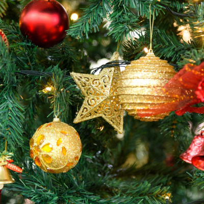 Highlights From Lunchtime Live