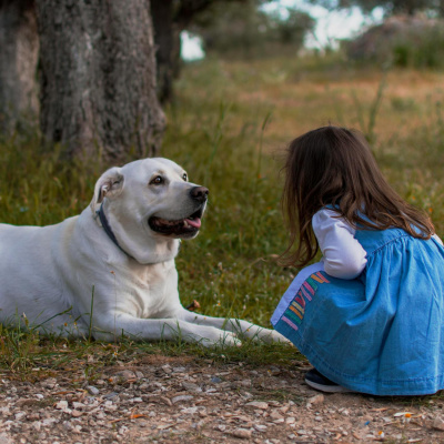 Highlights From Lunchtime Live