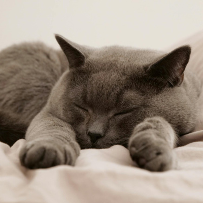 Highlights From Lunchtime Live