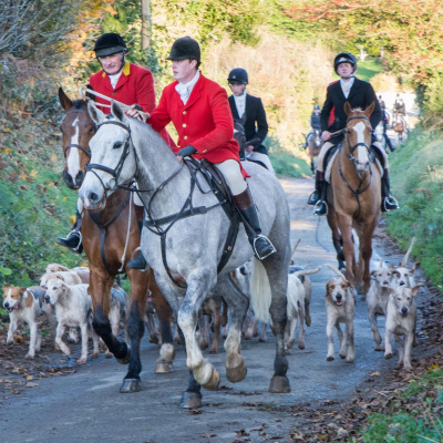 Highlights From Lunchtime Live