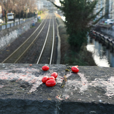 Highlights From Lunchtime Live