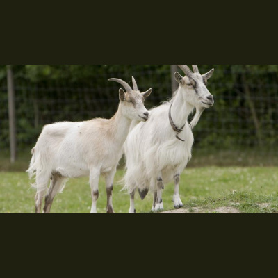 Highlights From Lunchtime Live