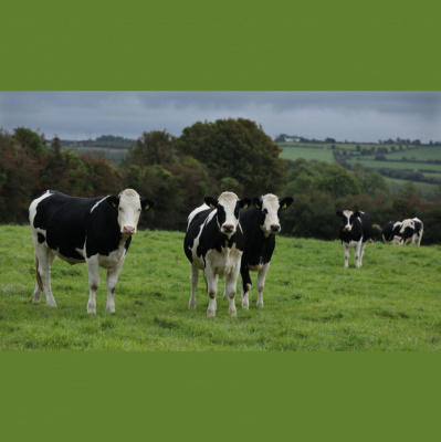 Highlights From Lunchtime Live