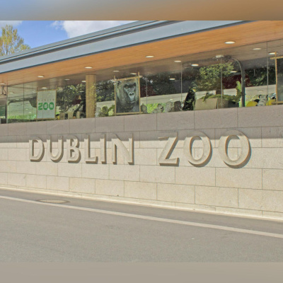 Highlights From Lunchtime Live