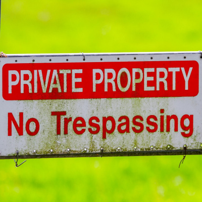 Highlights From Lunchtime Live