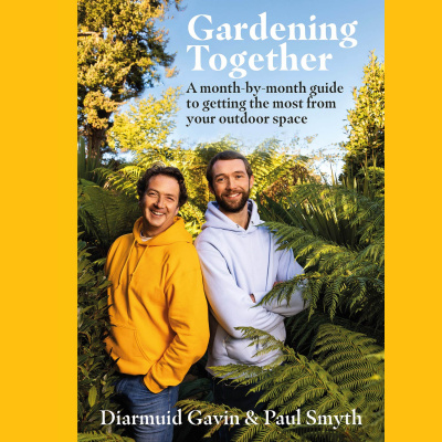 Highlights From Lunchtime Live