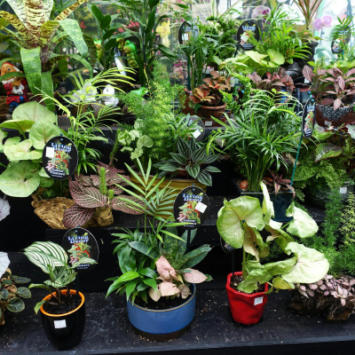 Highlights From Lunchtime Live