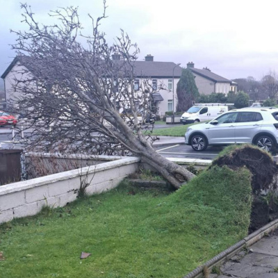 Highlights From Lunchtime Live