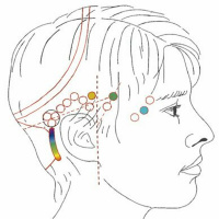 Entendo a Terapia Barras de Access por Ludimila Oliveira - Clubeterapia