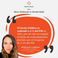 El Sector Público se endeudó 4.4.% del PIB en 2022