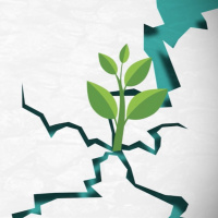 Mayor impunidad en Sinaloa, Guerrero,San Luis Potosí y CDMX