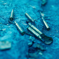 Presentamos Fallas de Origen