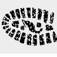 Controversia constitucional sobre participación de las Fuerzas Armadas en seguridad pública
