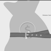 Los efectos de la Ley de Austeridad