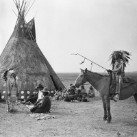 Big Chief Woolly Bosher