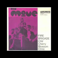 Cherry Blossom Clinic