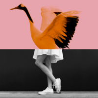 E02 - La fiesta para Carmen