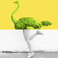 E04 - Copas con Lola