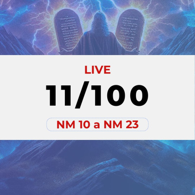 Bola De Neve Brasília