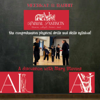 Meerkat  Rabbit: Physical Skills Training Day - A Discussion with Mary Stevens