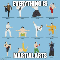 Everything is Martial Arts