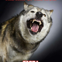 The Way of the Wolf Part I