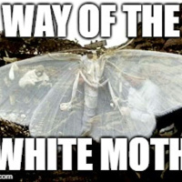 The Way of the White Moth