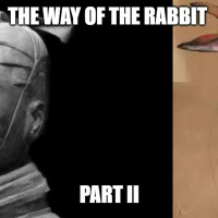 The Way of the Rabbit Part II