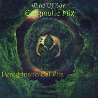 Peregrinatio Est Vita (Enigmatic Mix)
