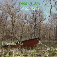 Desolation (Enigmatic Mix)