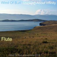 Thinking About Infinity (Flute)