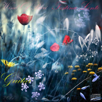 Festina Lente (Guitar)